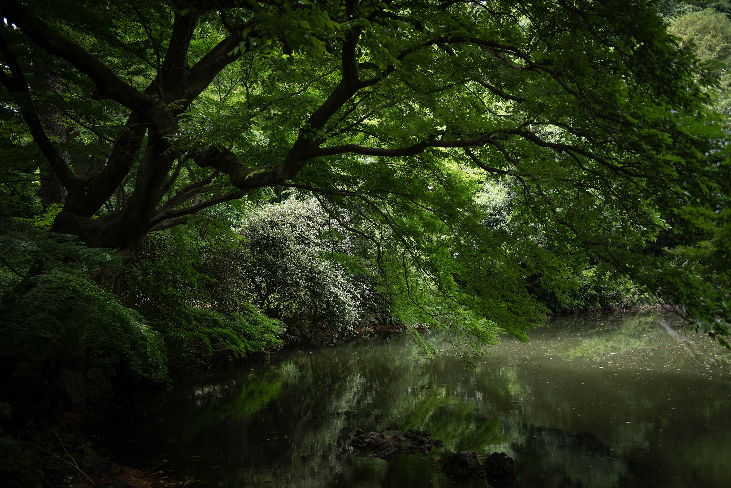 Japan – Magnum Fine Art